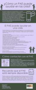 PAE y crisis